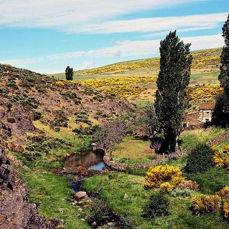 Casa Rural La Vereilla Barajas de Gredos Kültér fotó