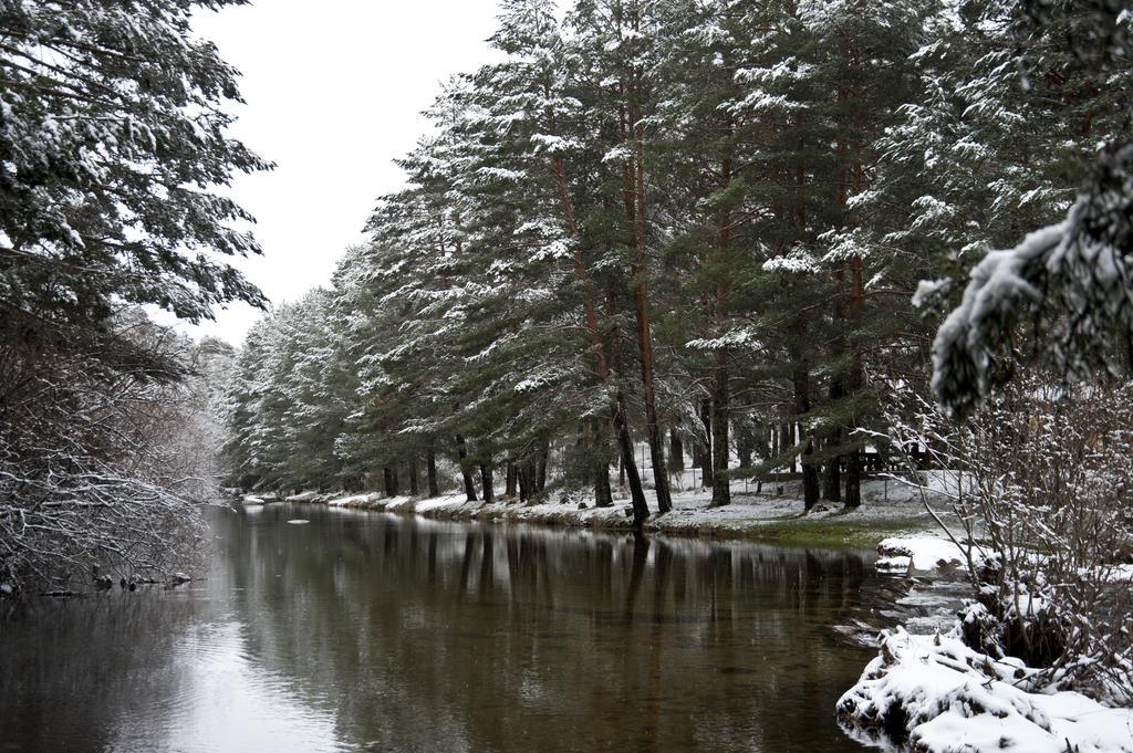 Casa Rural La Vereilla Barajas de Gredos Kültér fotó