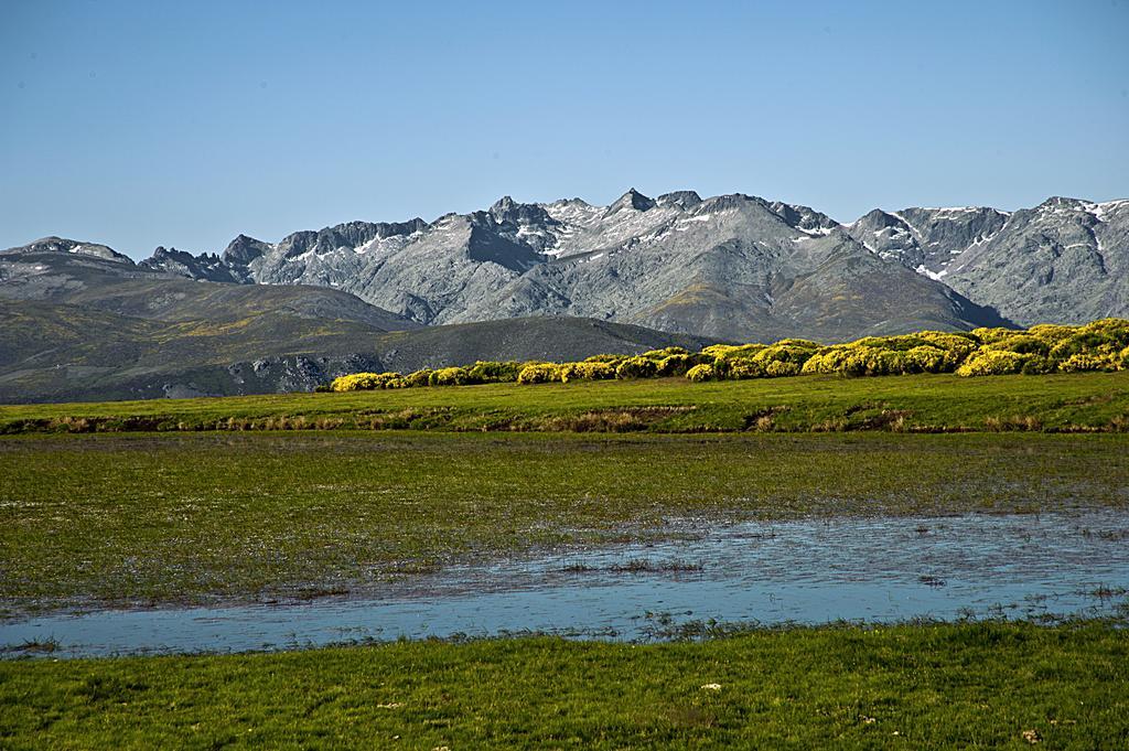 Casa Rural La Vereilla Barajas de Gredos Kültér fotó
