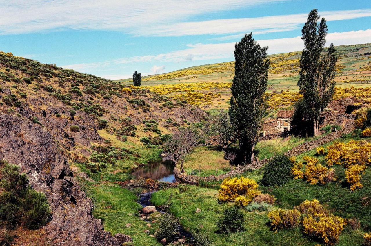 Casa Rural La Vereilla Barajas de Gredos Kültér fotó